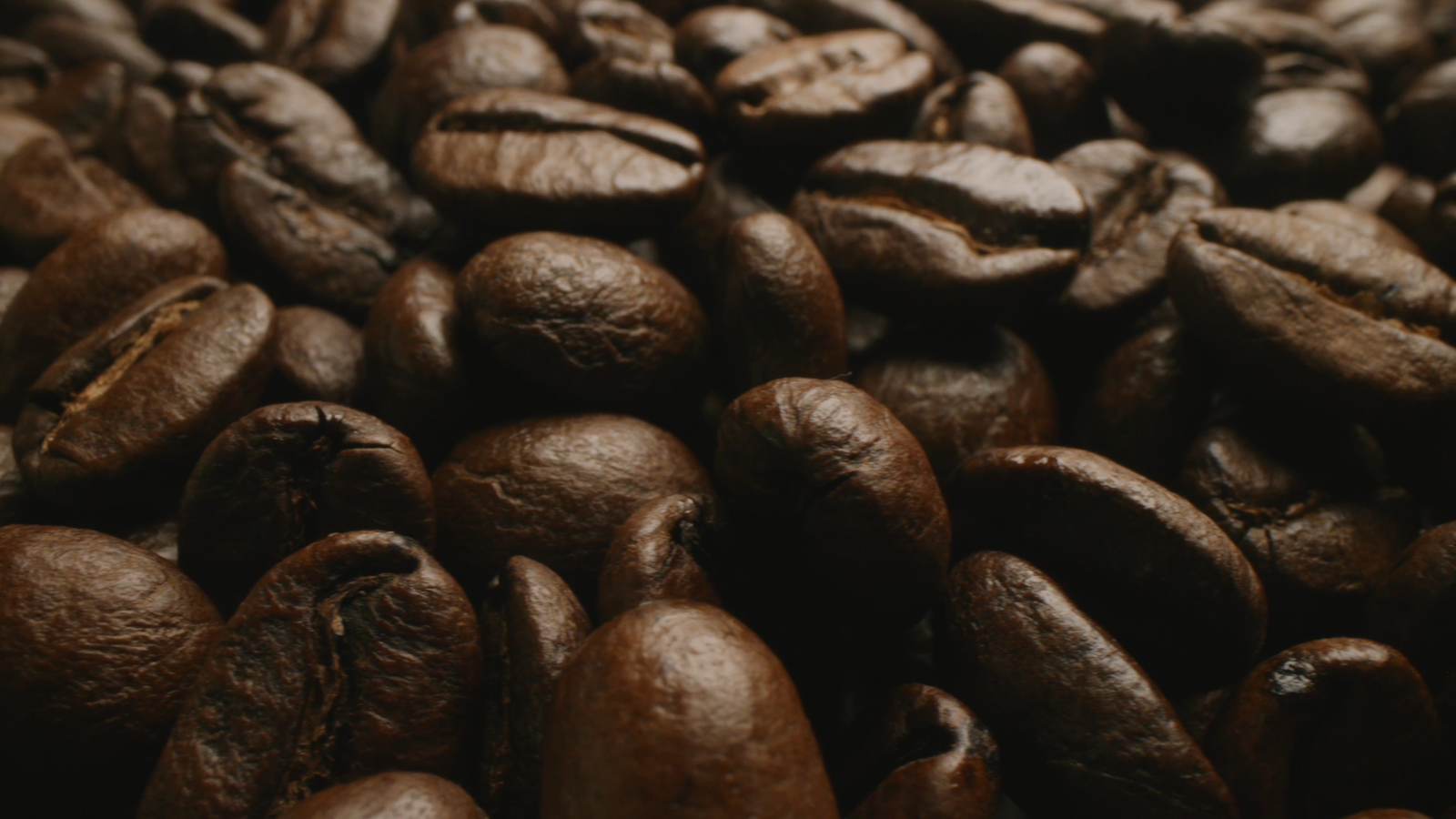 Close-up of freshly roasted coffee beans